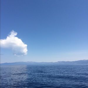 Meet your Posher, Callie